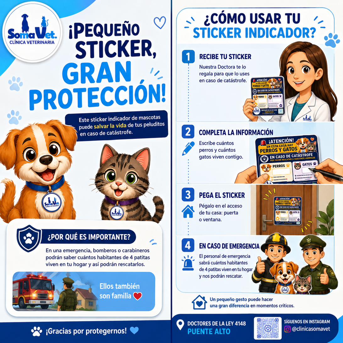 Sticker indicador de mascotas para casos de emergencia